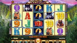 Wolf Run Feature